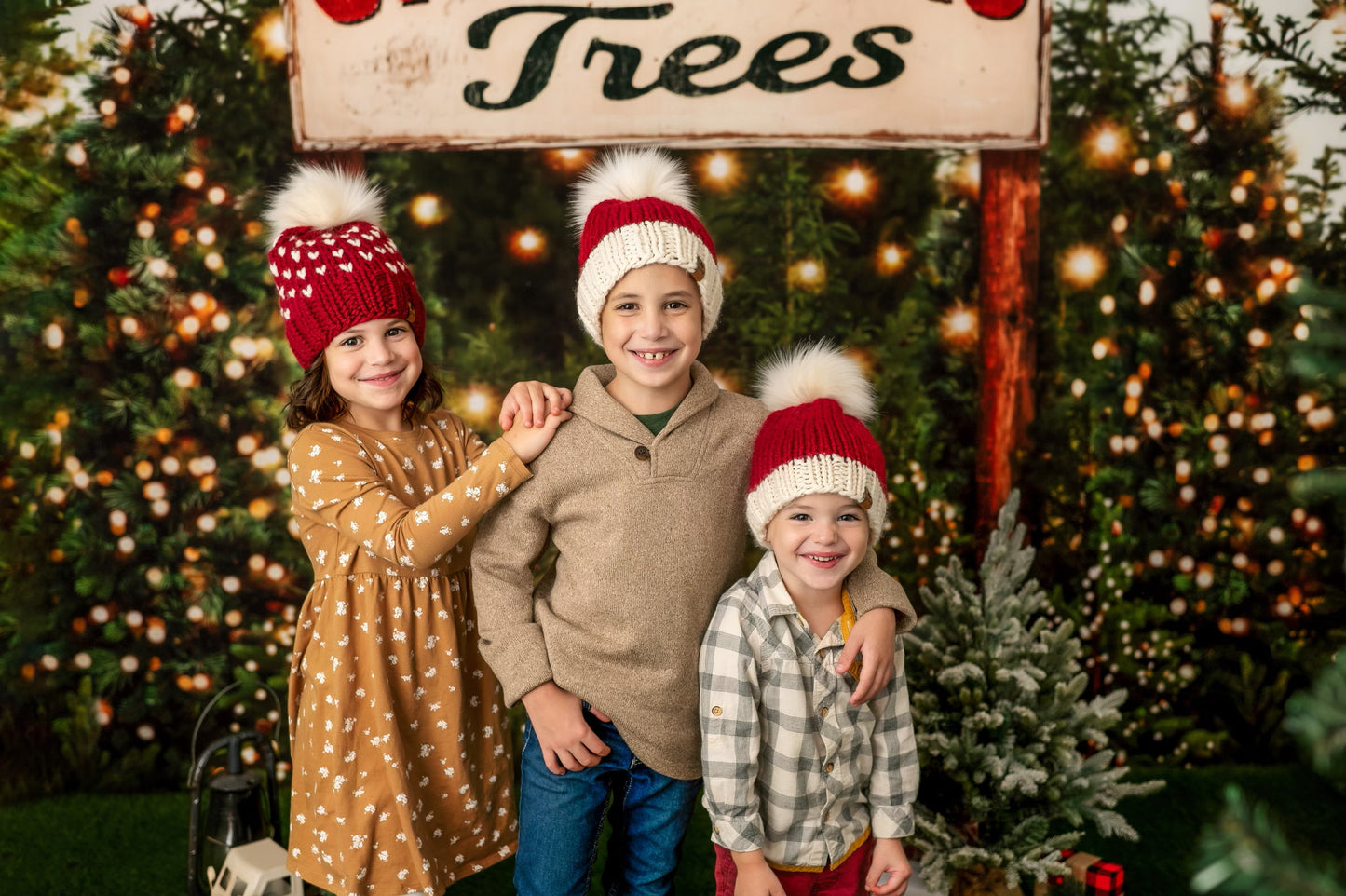 Classic Christmas Hats as pictured