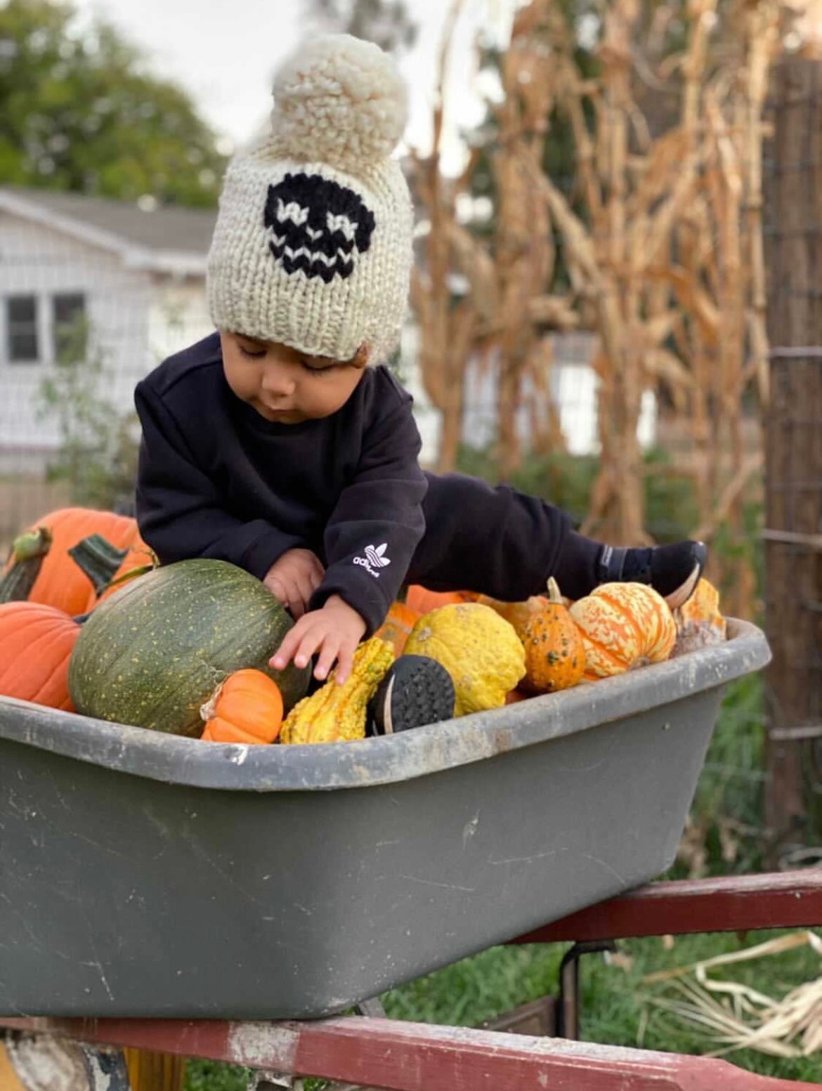 Classic Halloween Hats as pictured