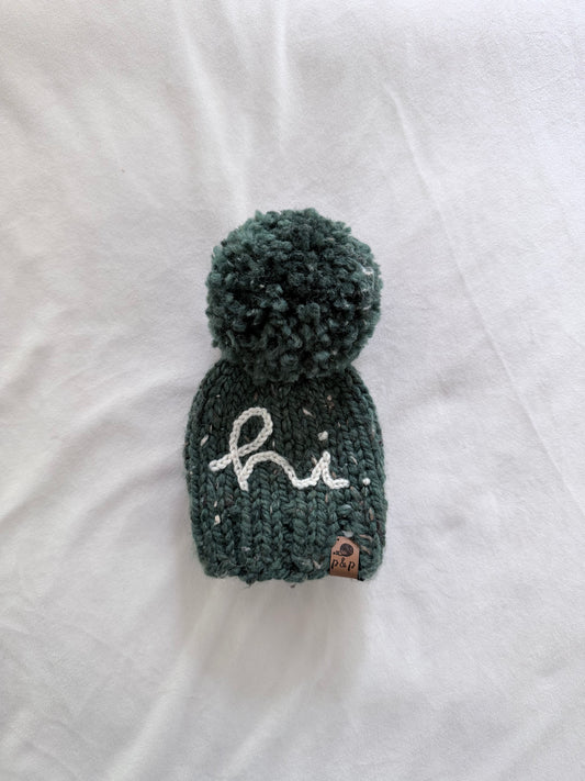 Ready-to-Ship Newborn Embroidered HI Knit Hat | Kale + Cream
